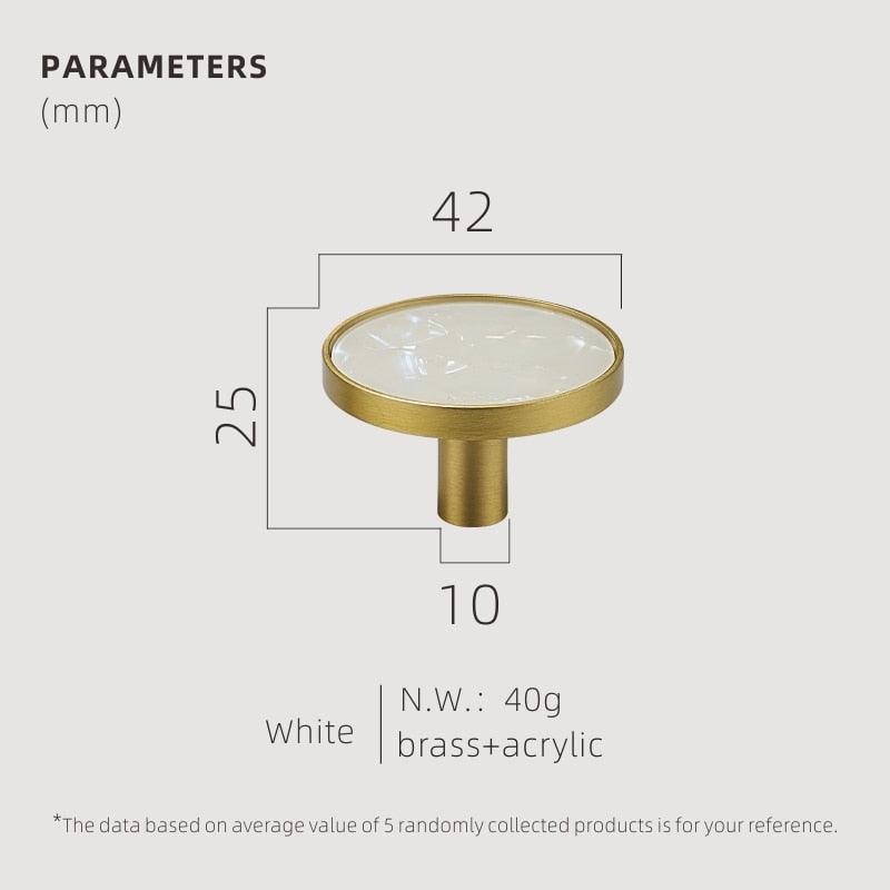 Brass Shell Wall Hooks