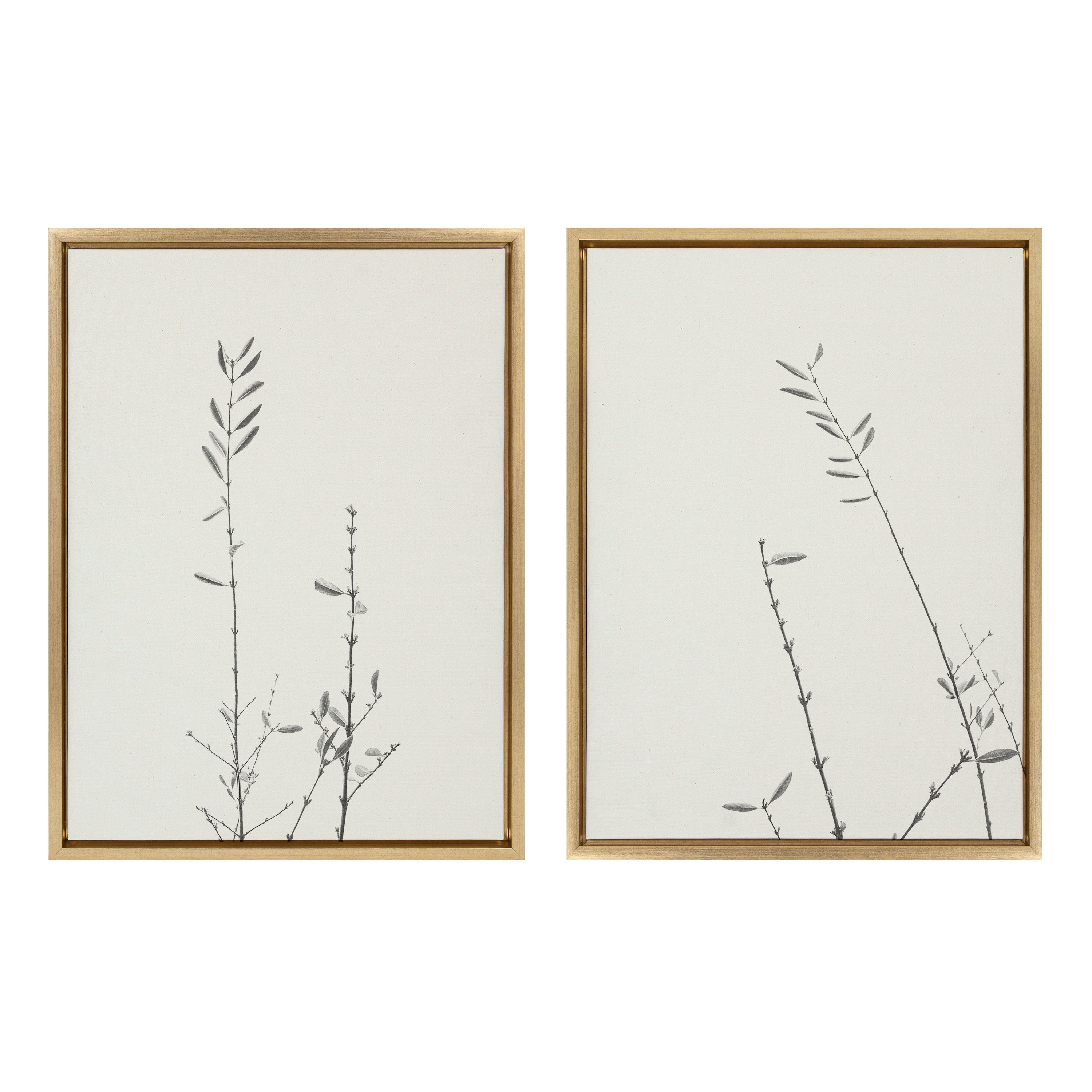 Sylvie Retro Tennessee Botanicals Framed Canvas by Stephanie Klatt