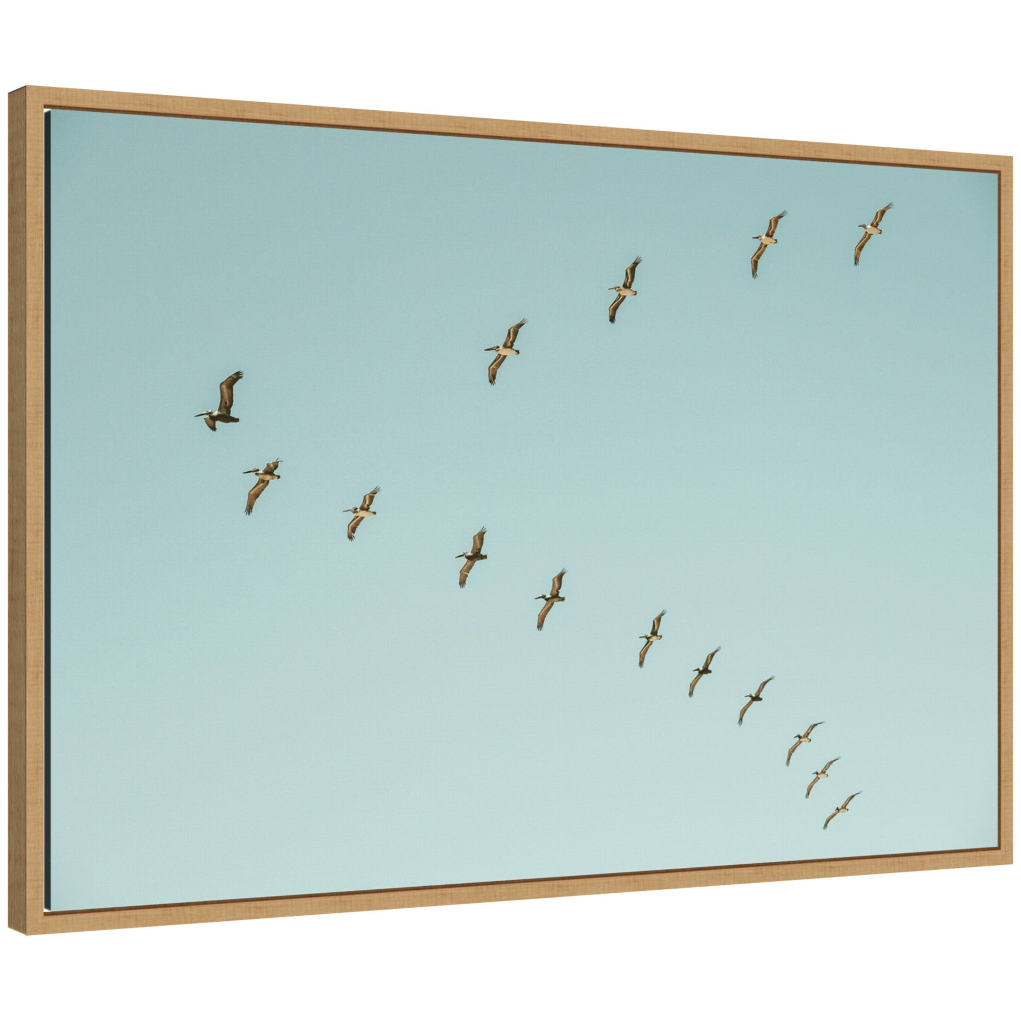 Sylvie Pelican Row #1 Framed Canvas by Alicia Bock