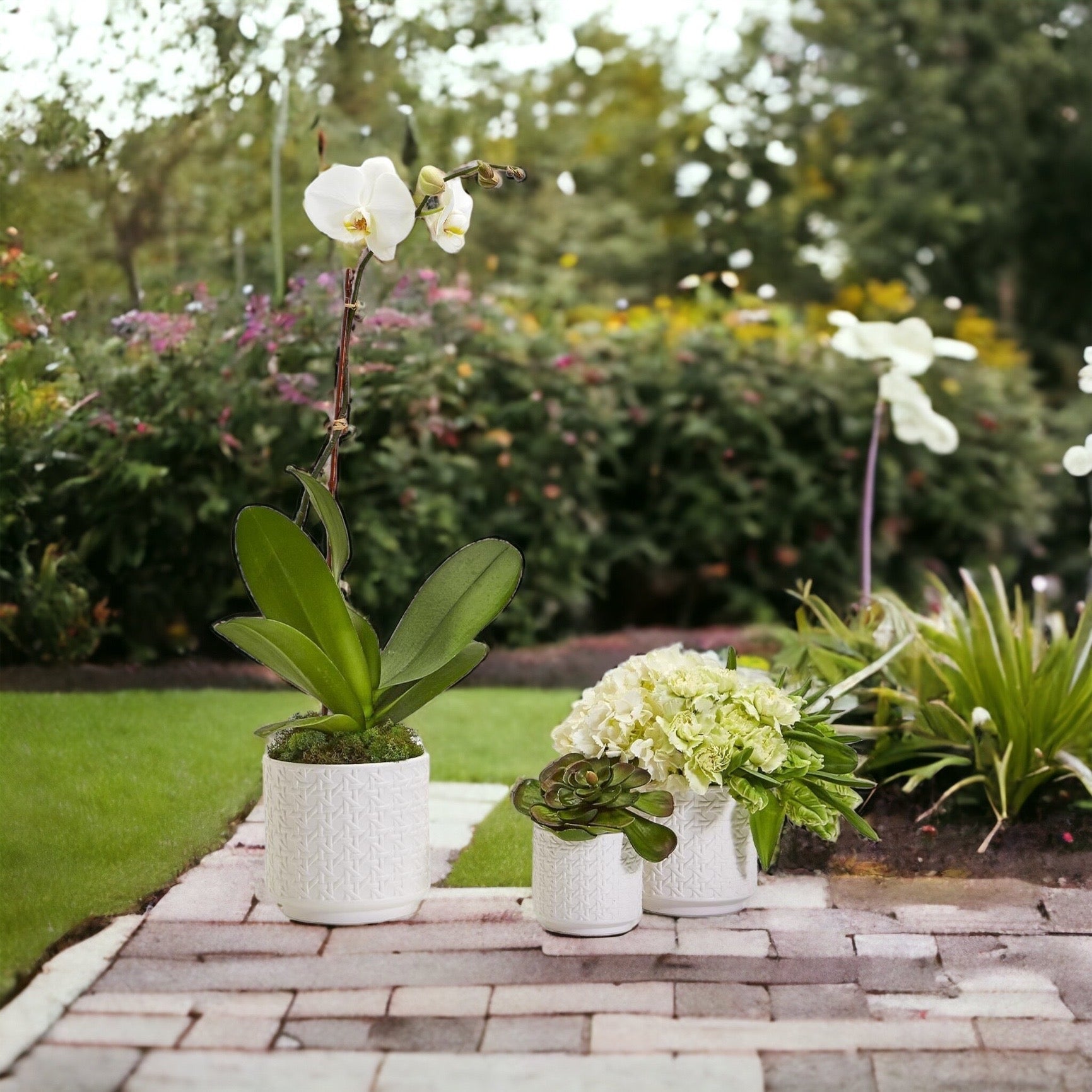 Woven-Pattern Ceramic Planters