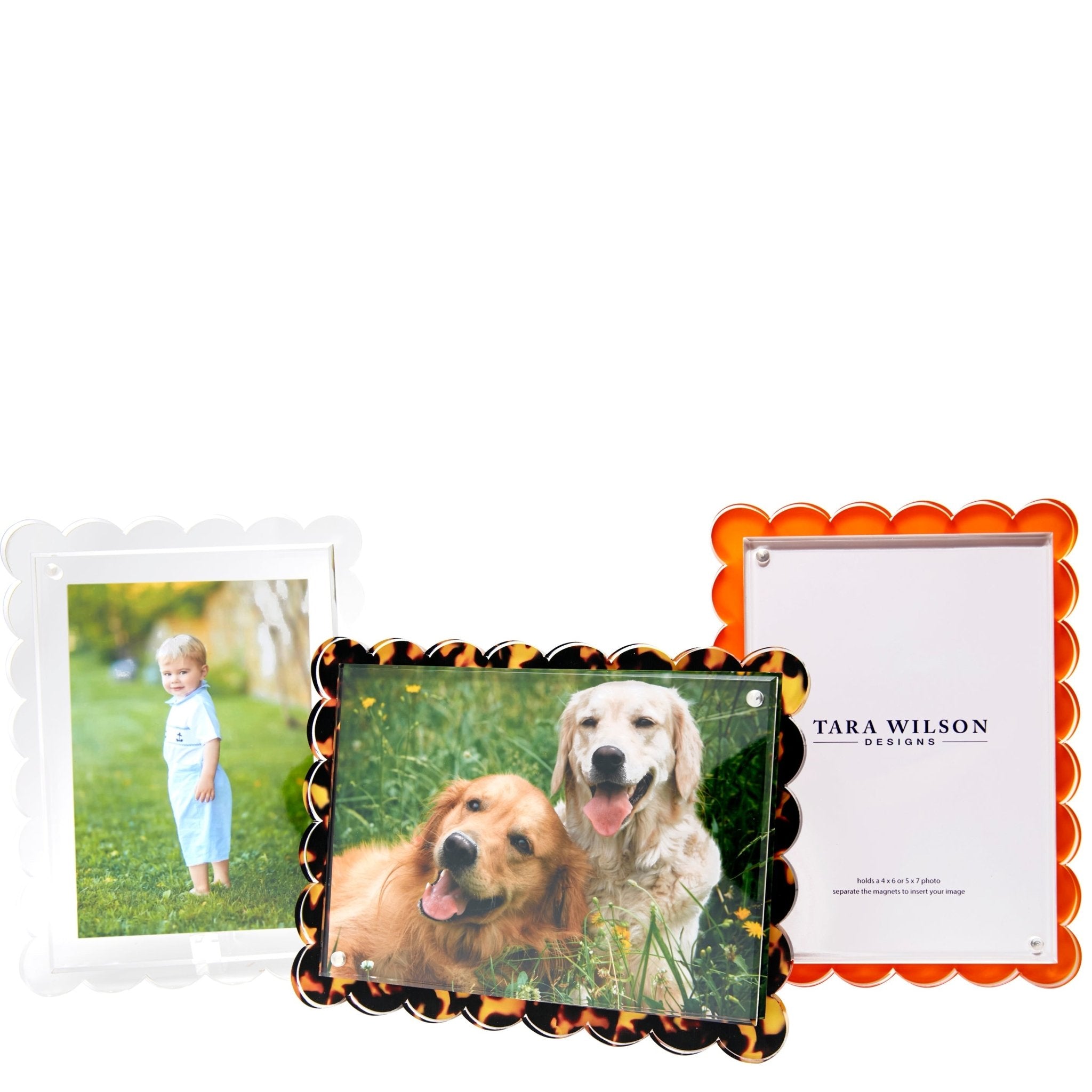 Clear Acrylic Scallop Frame