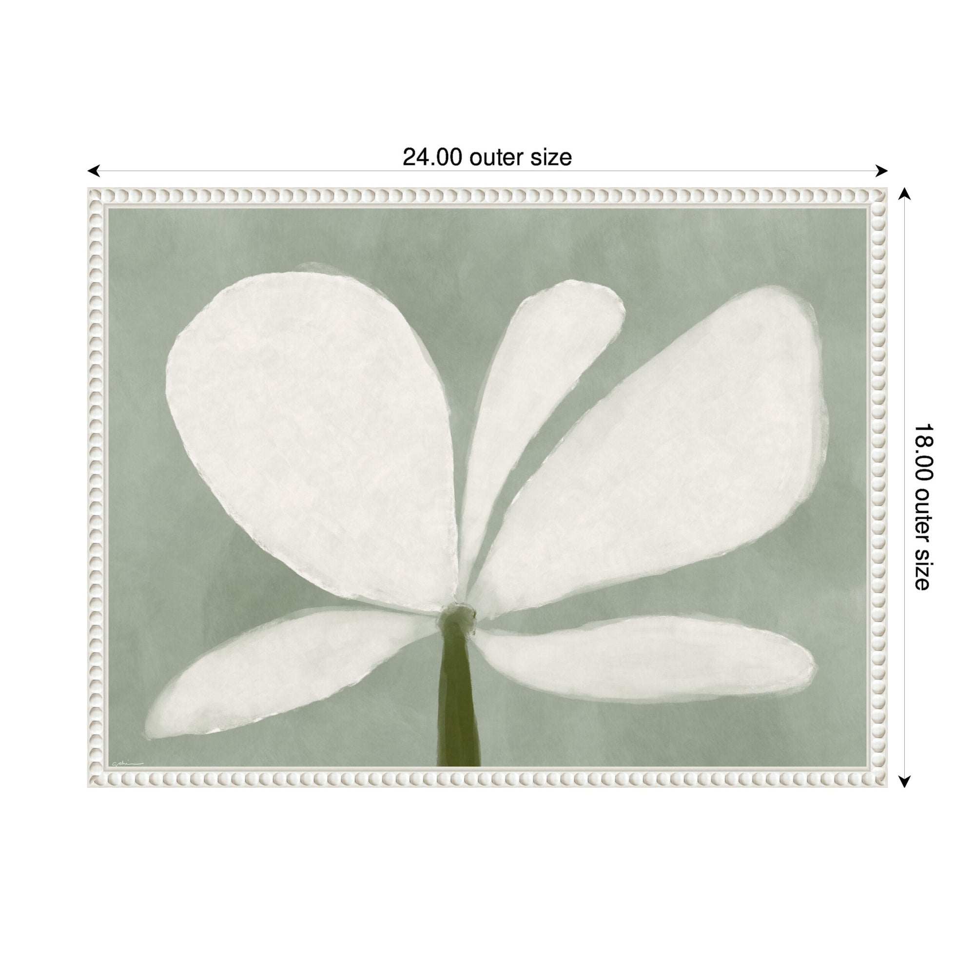 White Floral No. 2 by Gabrielly Guedes Framed Canvas Wall Art Print