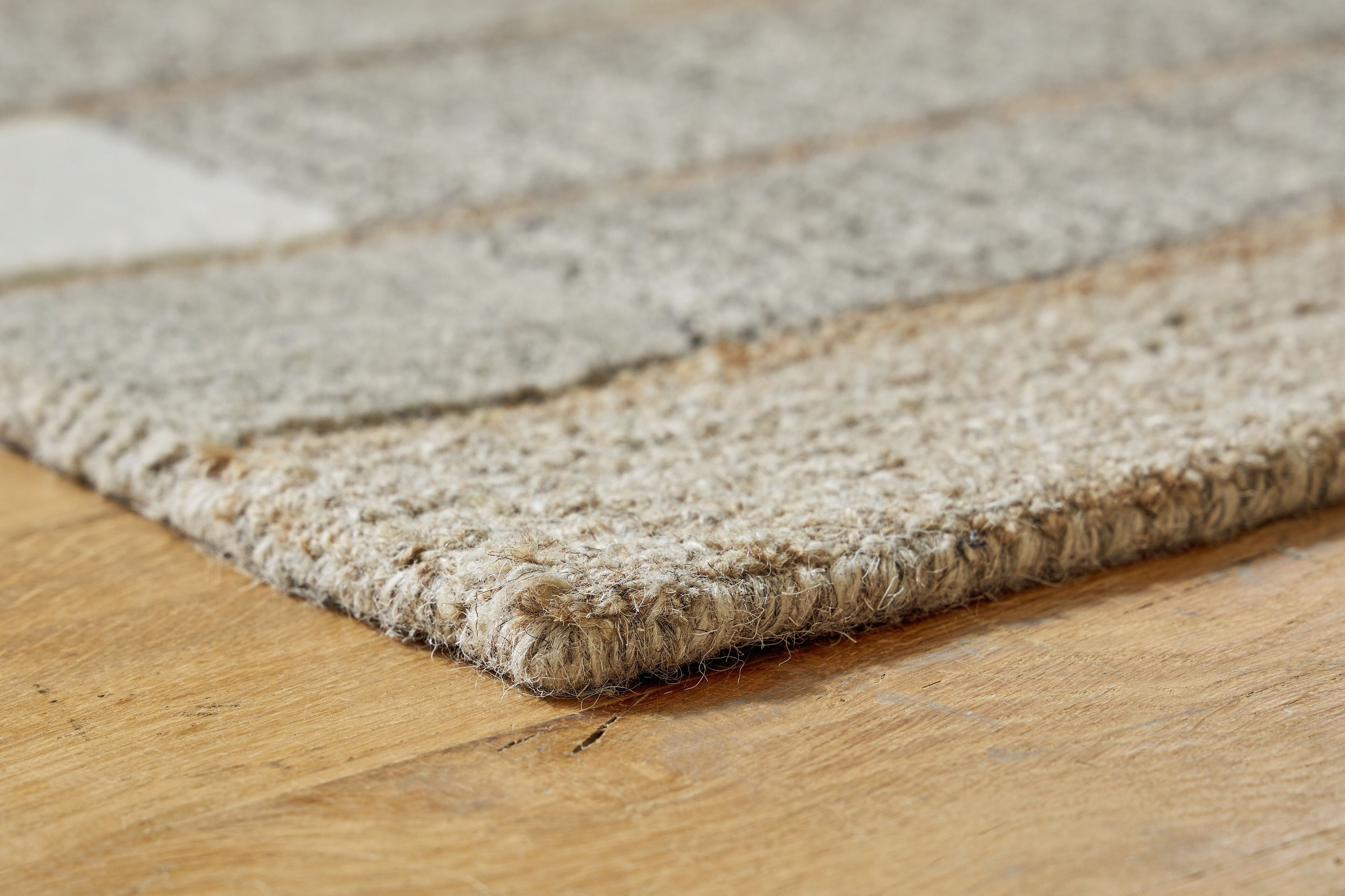 Abbotton Area Rug