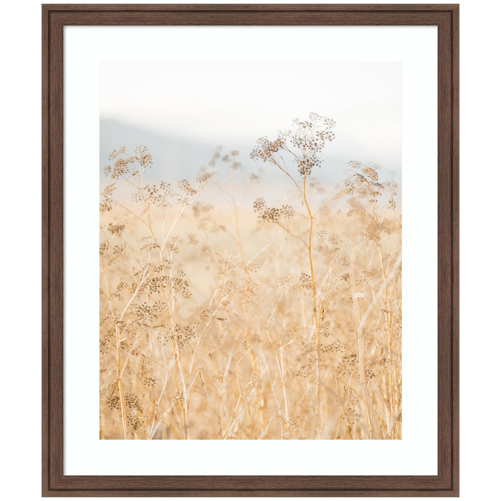 Framed Art Wild Fennel by Crystal Lynn Collins