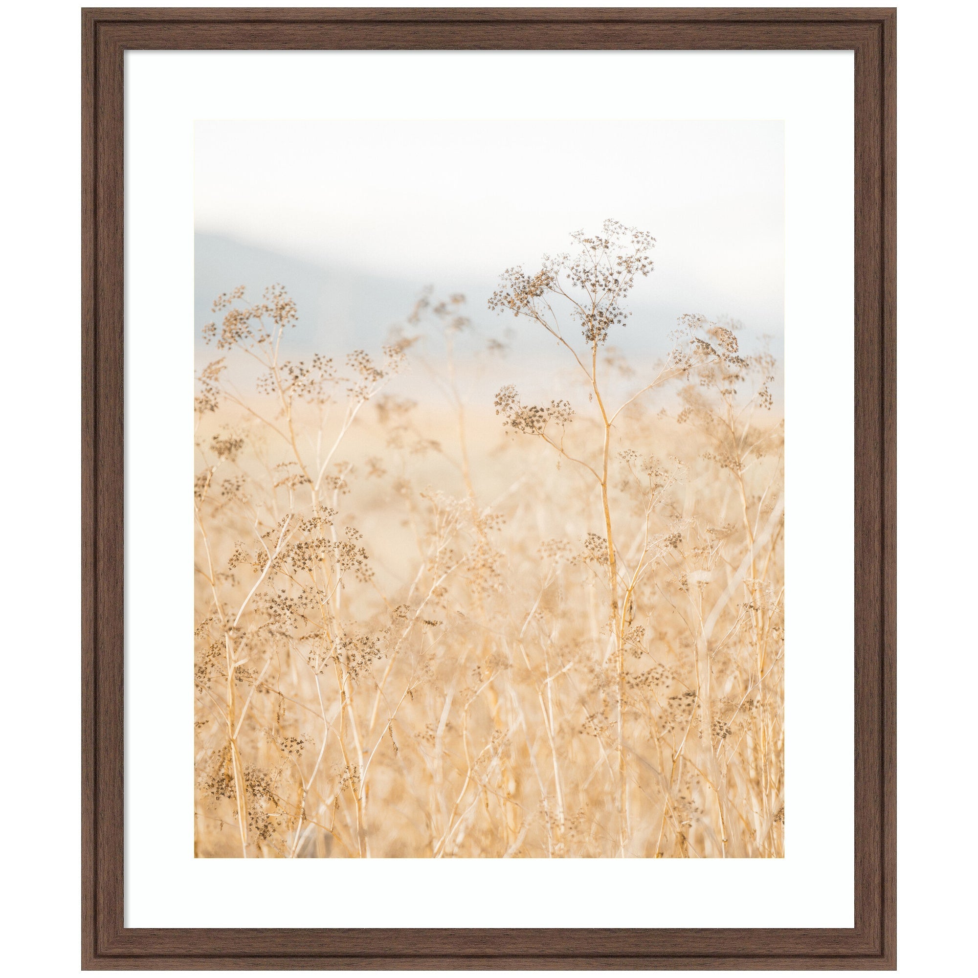Framed Art Wild Fennel by Crystal Lynn Collins