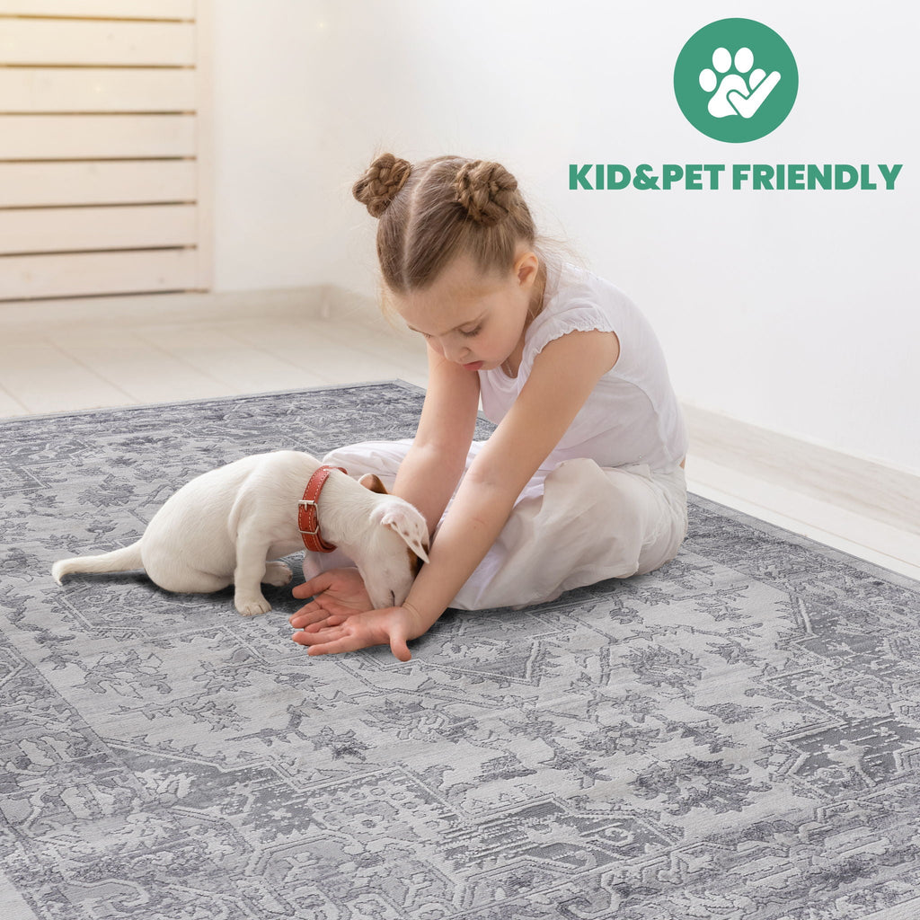 Marfi Oriental Area Rug