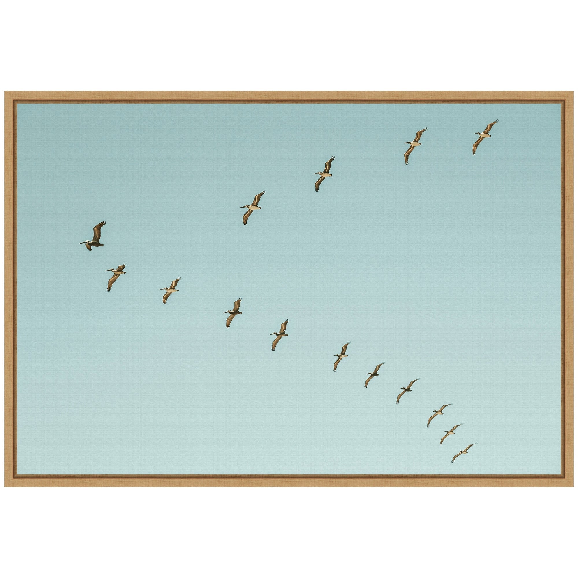 Sylvie Pelican Row #1 Framed Canvas by Alicia Bock