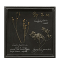 Dried Botanical Shadow Box