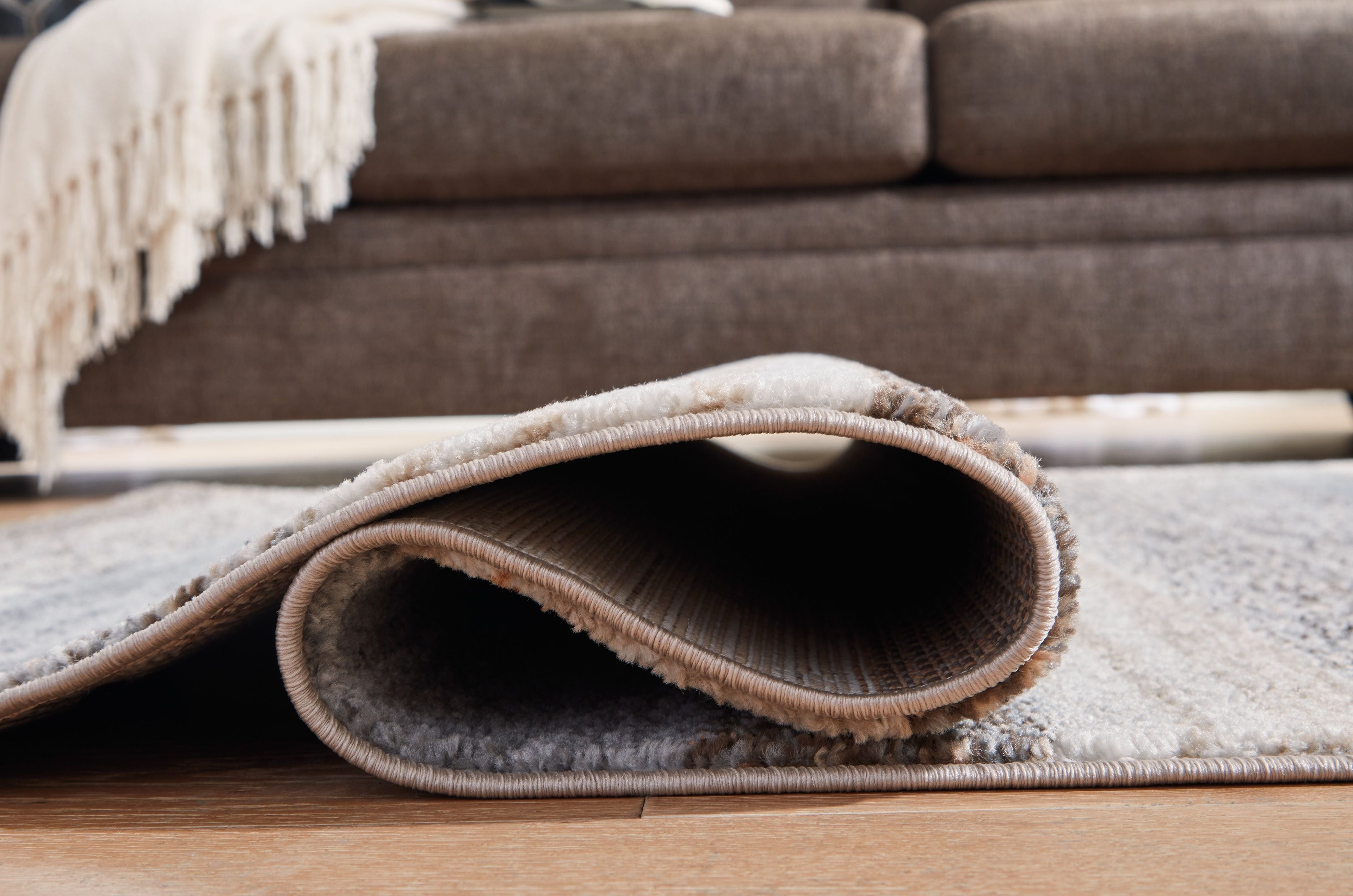 Sethburn Area Rug