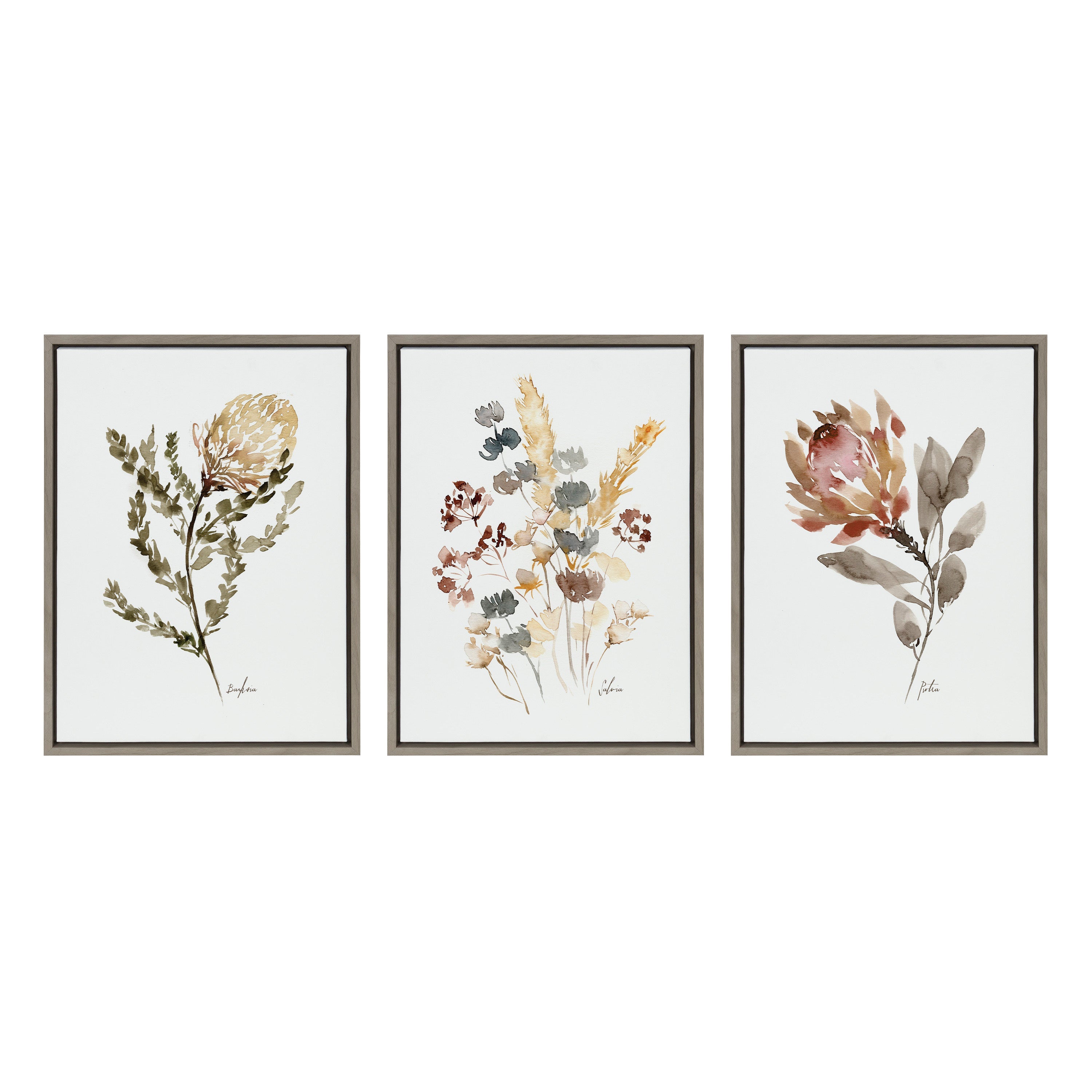 Sylvie Wild Banksia Wild Salvia and Wild King Protea Framed Canvas by Sara Berrenson