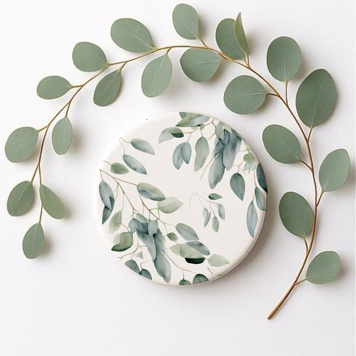Eucalyptus Botanical Ceramic Coasters