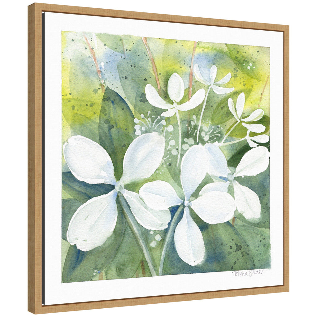 Sylvie White Phantom Hydrangea in Greens Framed Canvas by Patricia Shaw