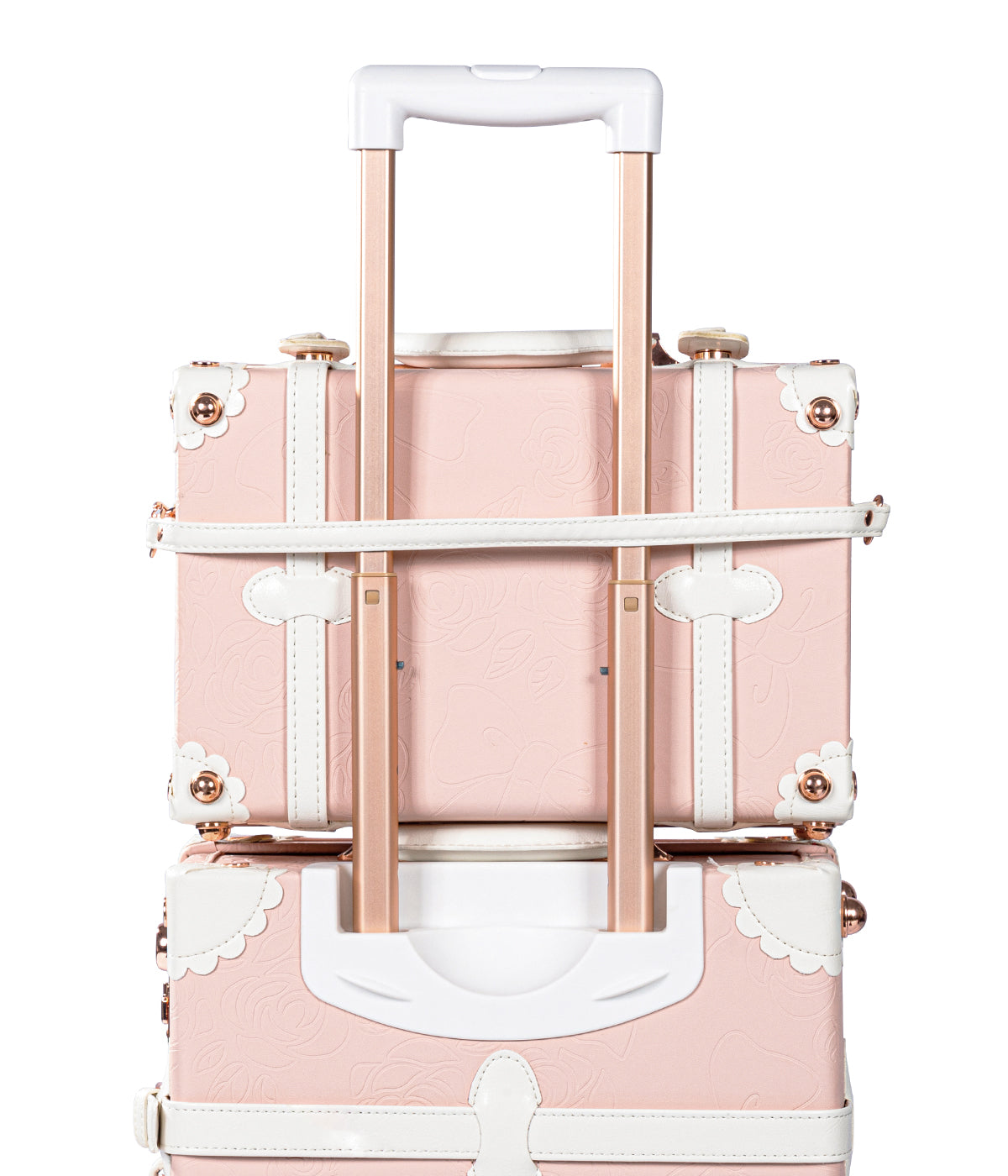 Botanica Medium Check-in Set - Train Case