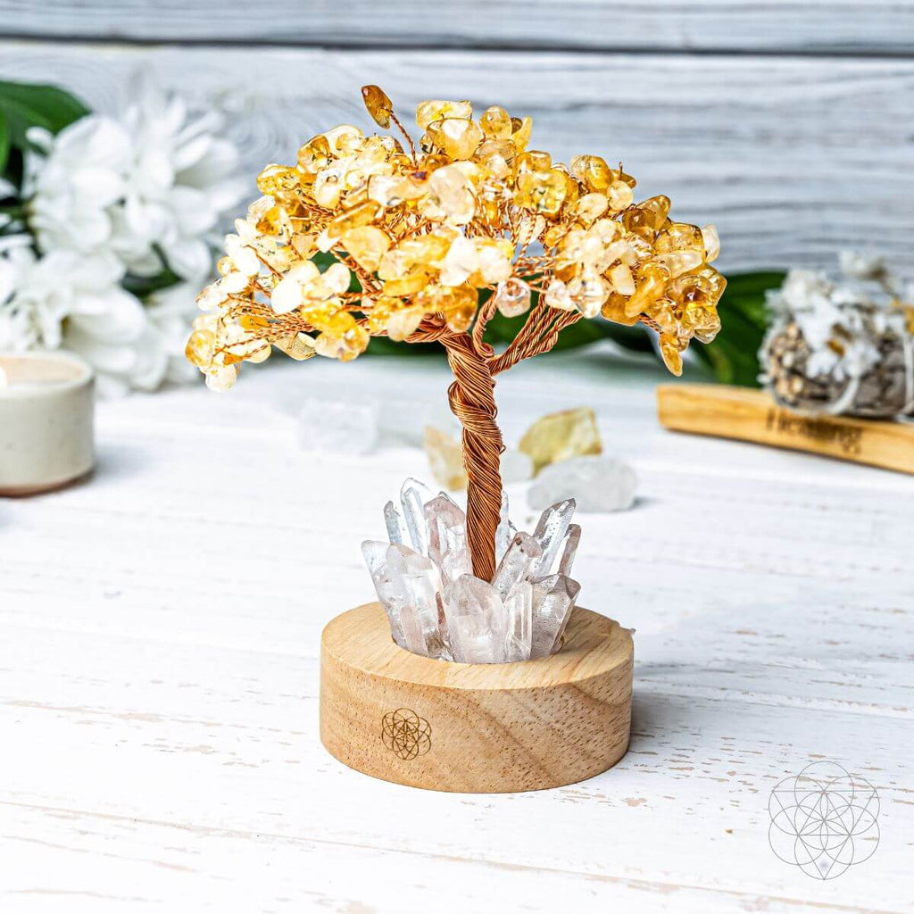Citrine & Clear Quartz Tree Lamp