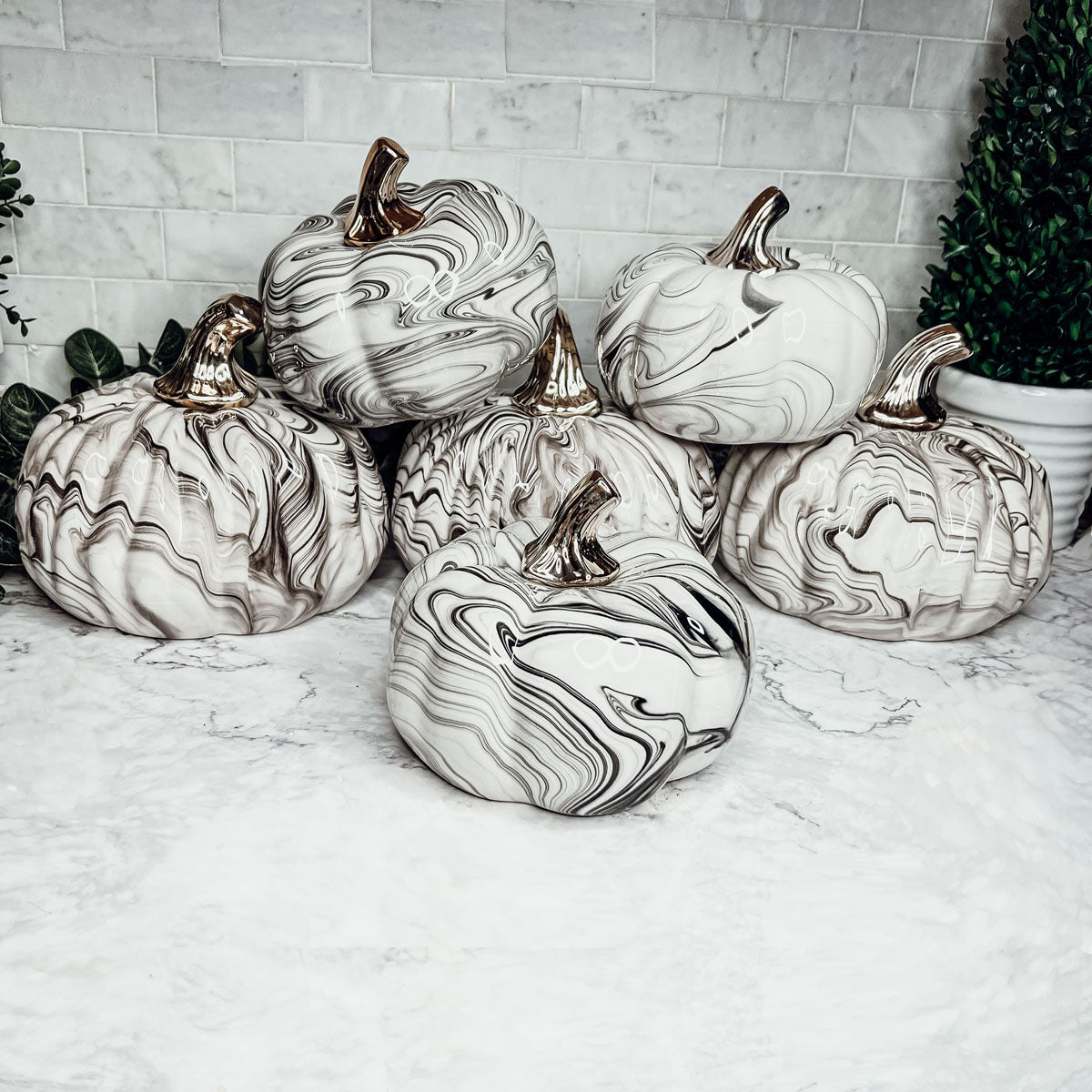 Black Marble Pumpkin with Gold Stem