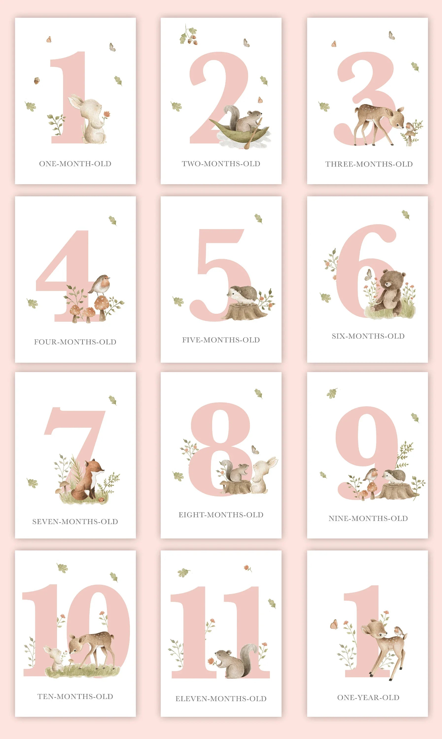 Baby Bundles: Beyond Measure #1 (Take Home Box) - Newborn Girl - Include 5 YR Memory Book