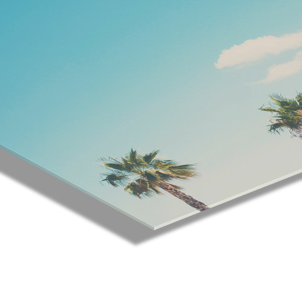 A Trio Of Palm Trees Floating Acrylic Art by Laura Evans