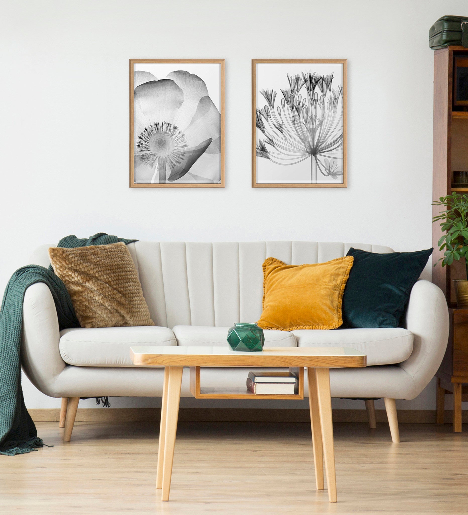 Blake Bell Agapanthus X Ray Floral BW Framed Printed Art by The Creative Bunch Studio