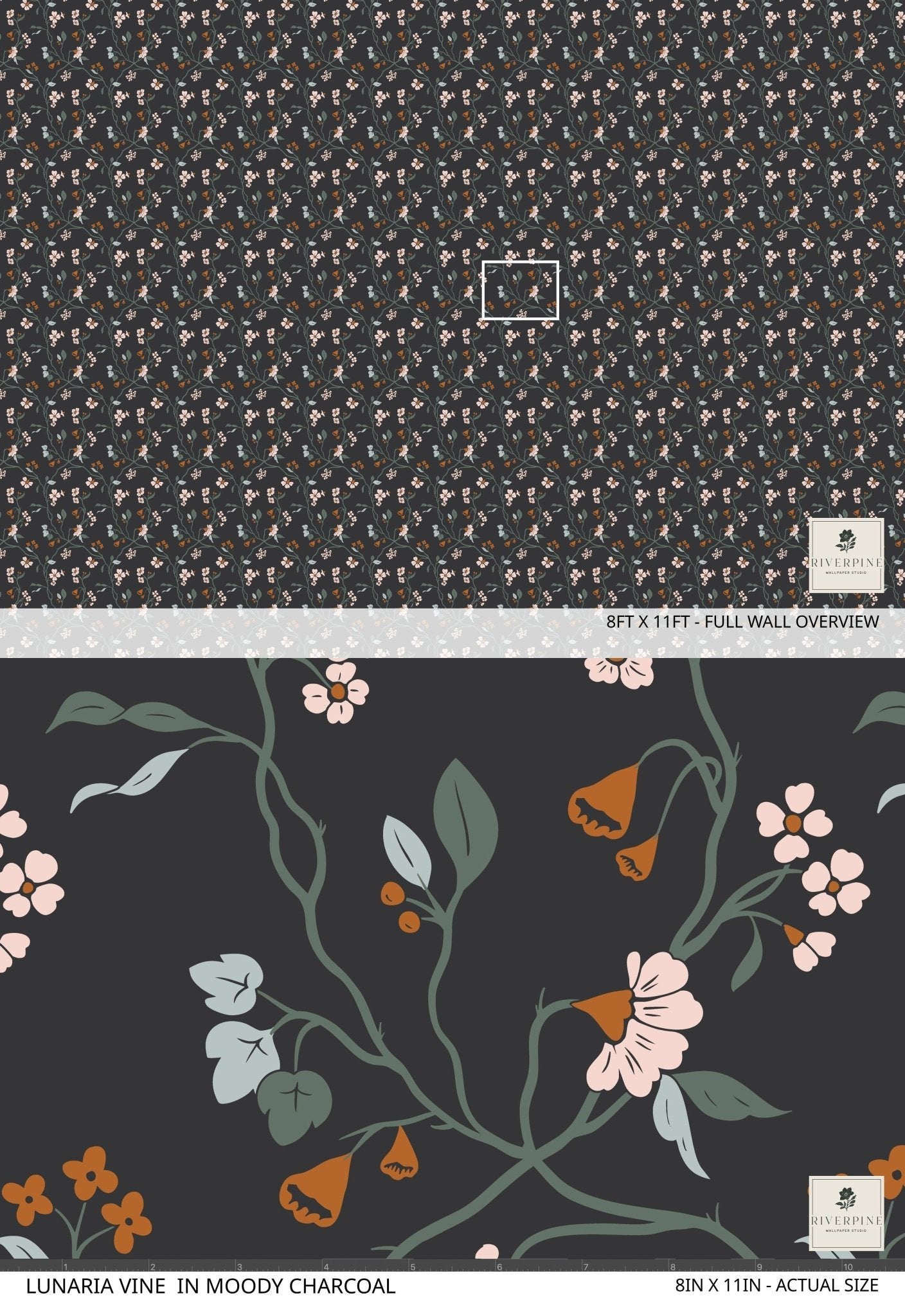 Lunaria Vine Wallpaper in Moody Charcoal