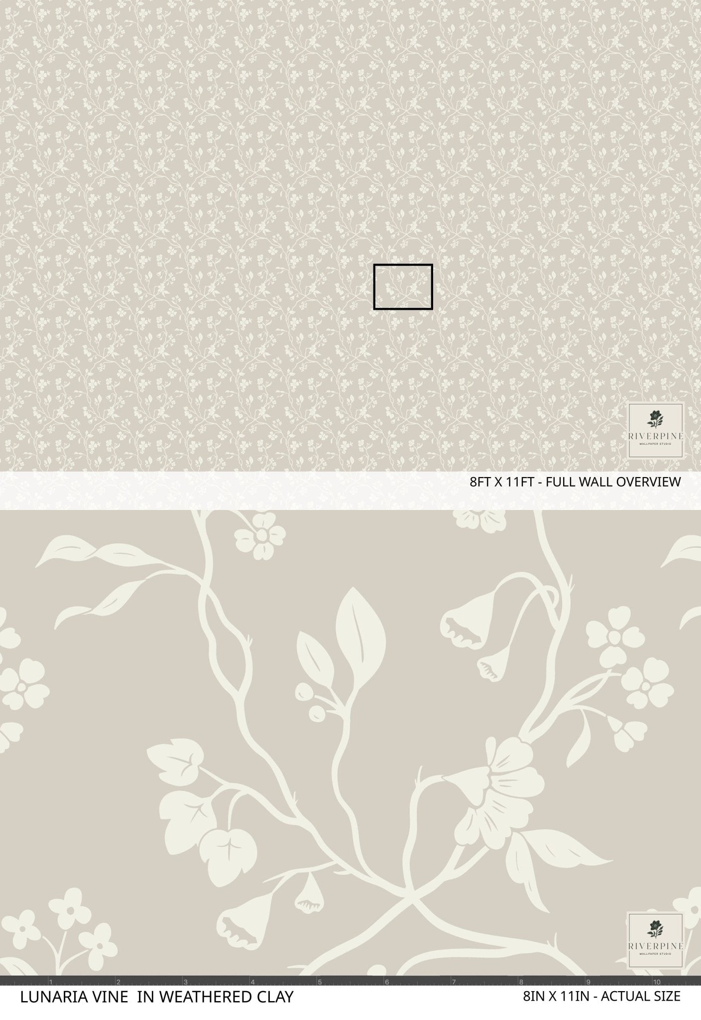 Lunaria Vine Wallpaper in Weathered Clay