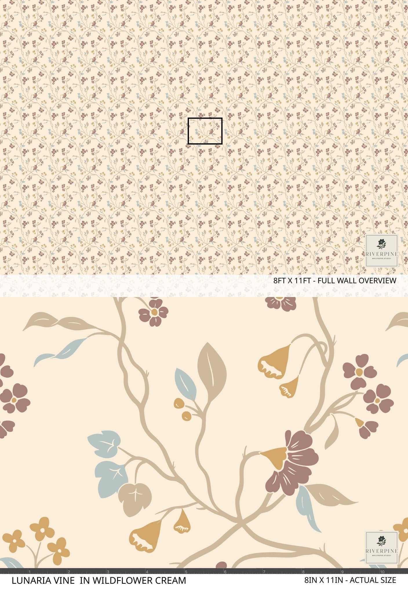 Lunaria Vine Wallpaper in Wildflower Cream