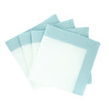 Mint Linen Napkins with Green Double Sided Borders, Set of 4
