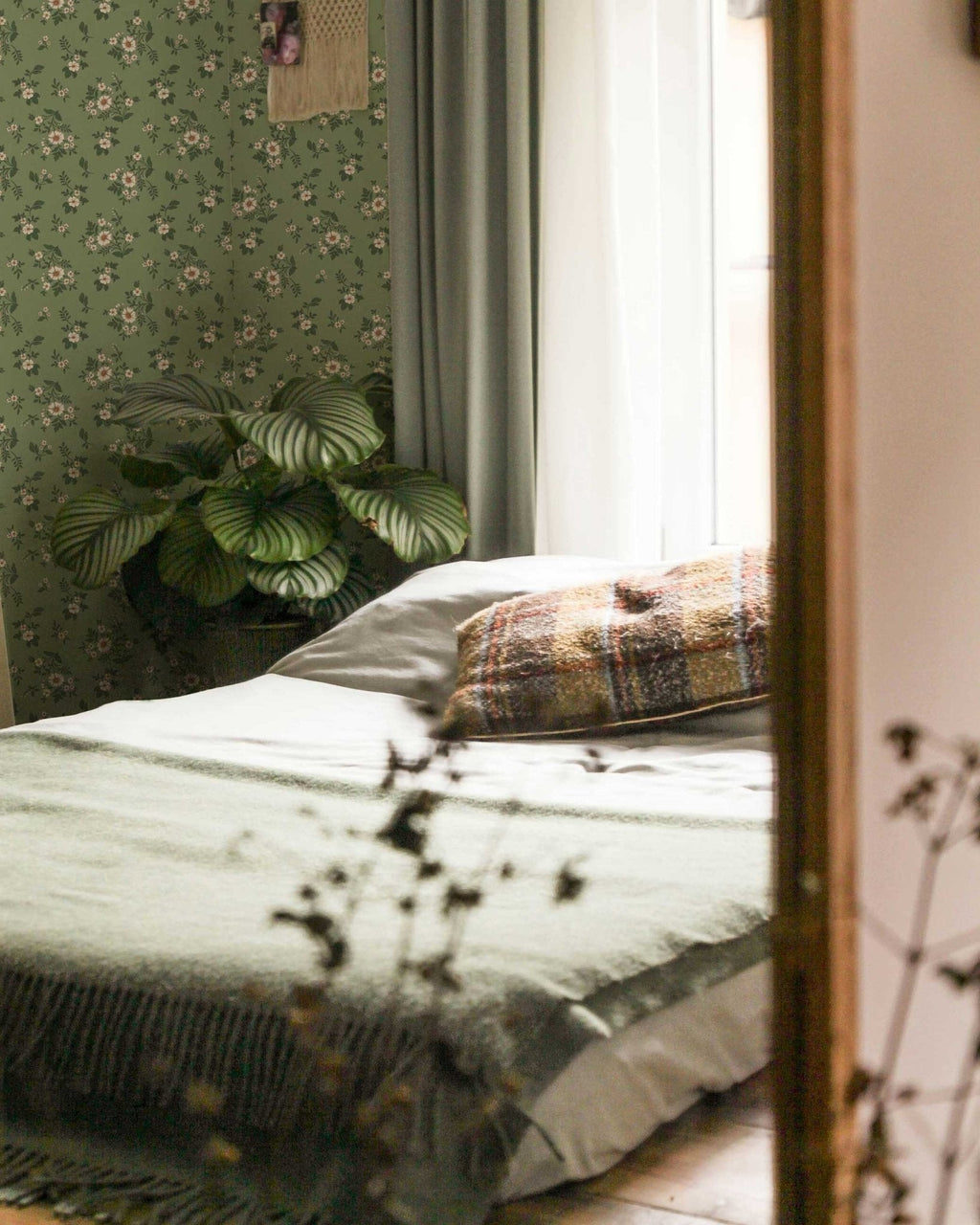Primrose in Rustic Olive