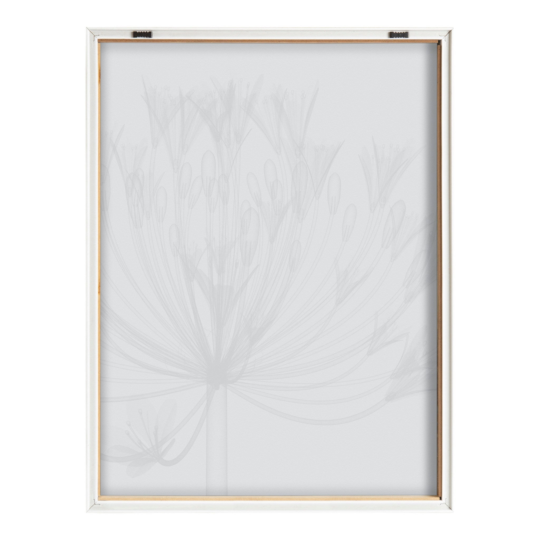 Blake Bell Agapanthus X Ray Floral BW Framed Printed Art by The Creative Bunch Studio