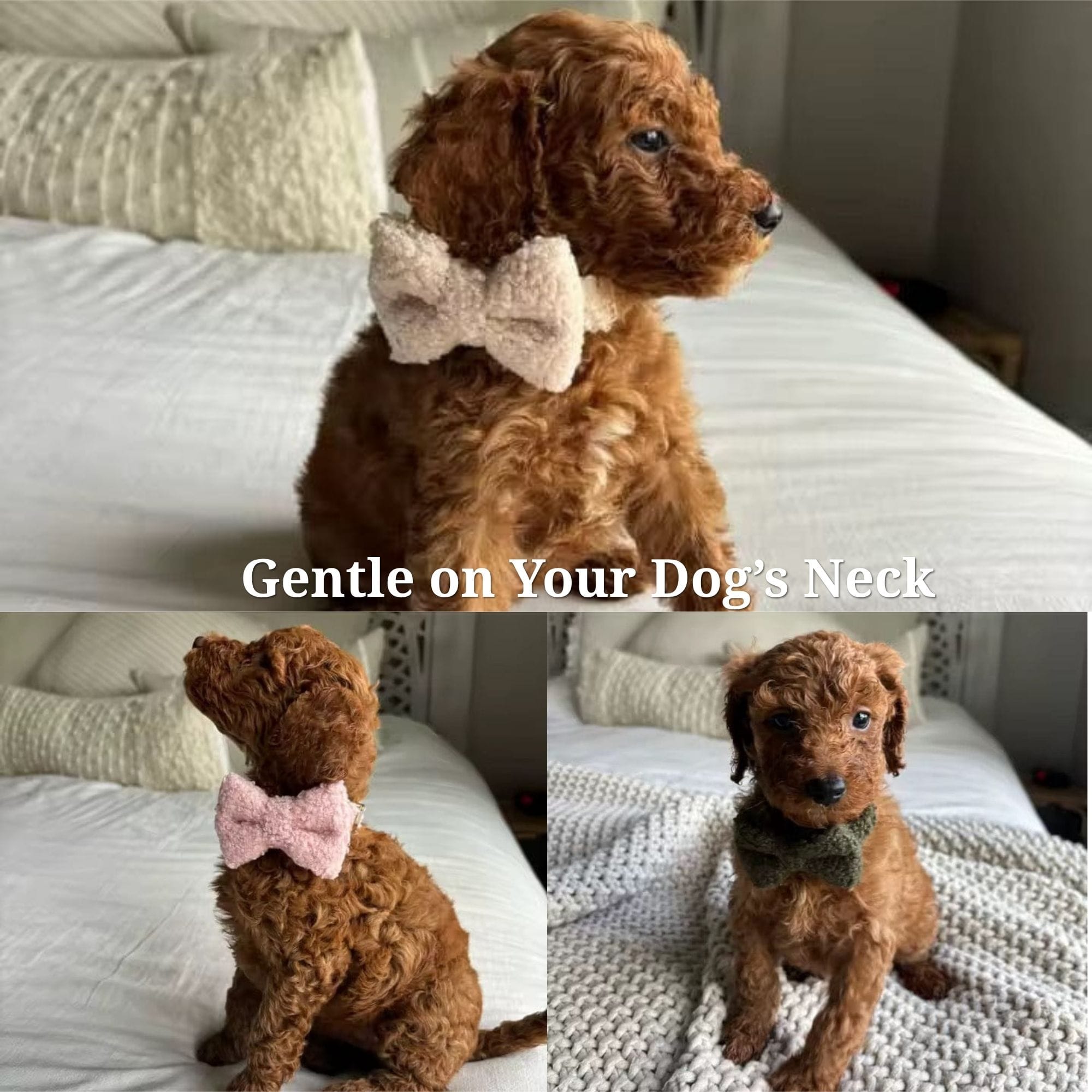 Beige Teddy Set