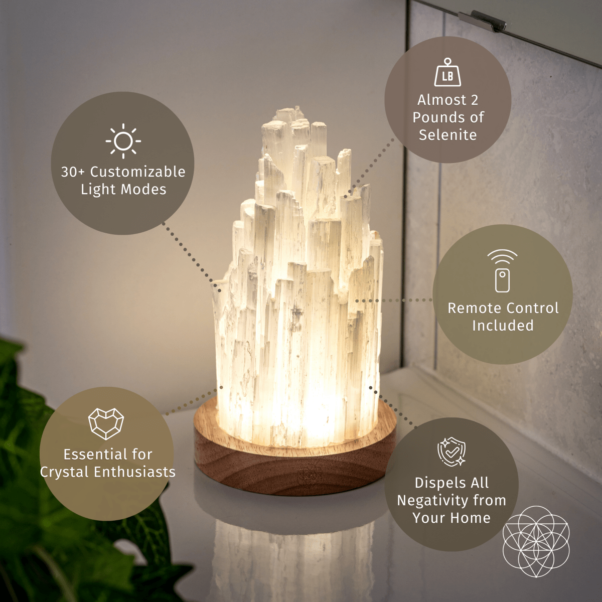 Natural Selenite Accent Lamp — Walnut Base