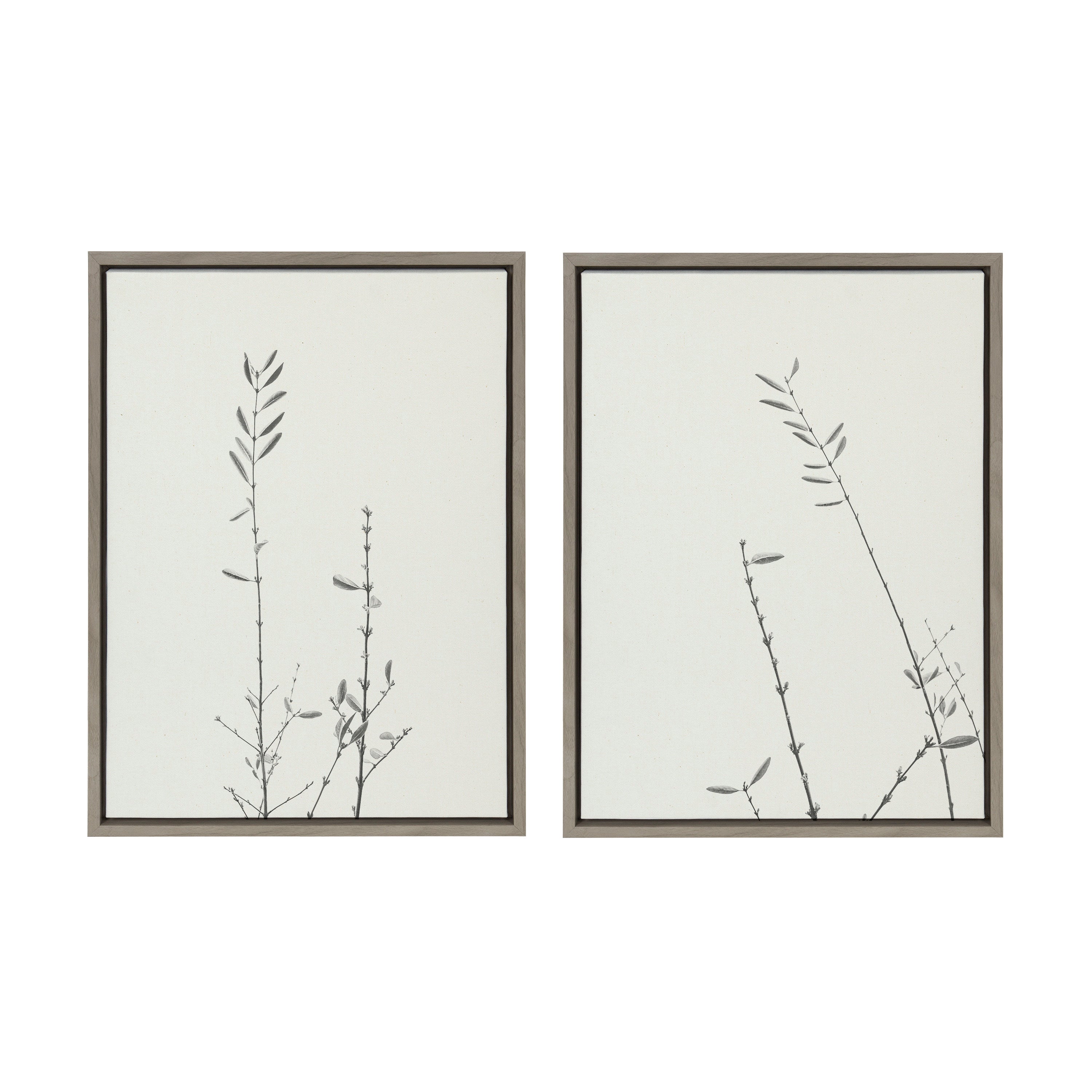 Sylvie Retro Tennessee Botanicals Framed Canvas by Stephanie Klatt
