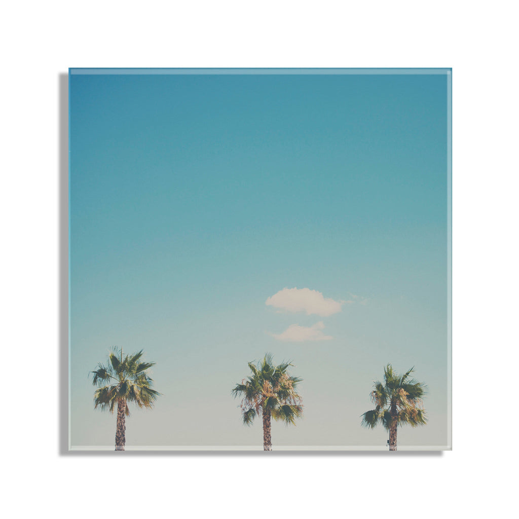 A Trio Of Palm Trees Floating Acrylic Art by Laura Evans