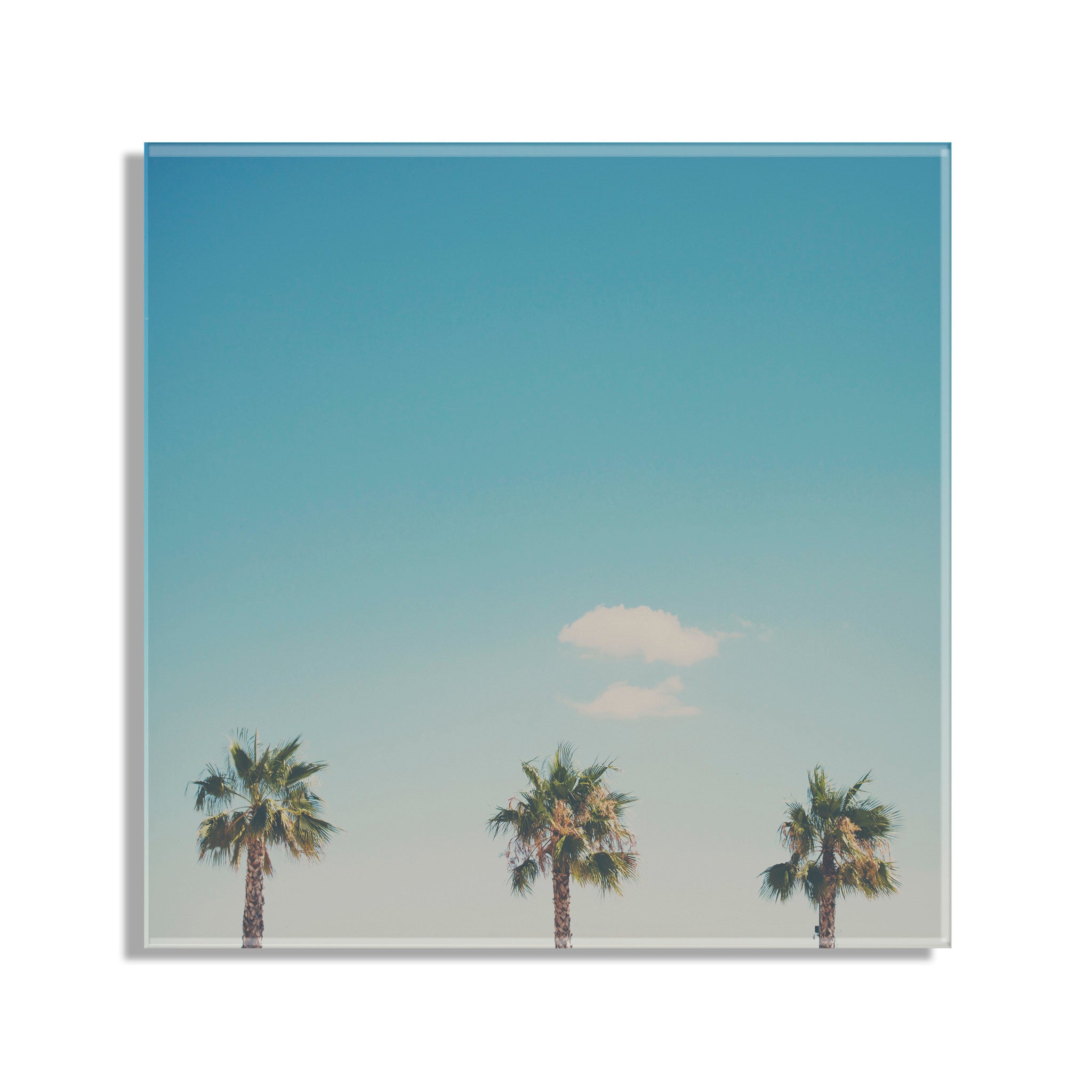 A Trio Of Palm Trees Floating Acrylic Art by Laura Evans