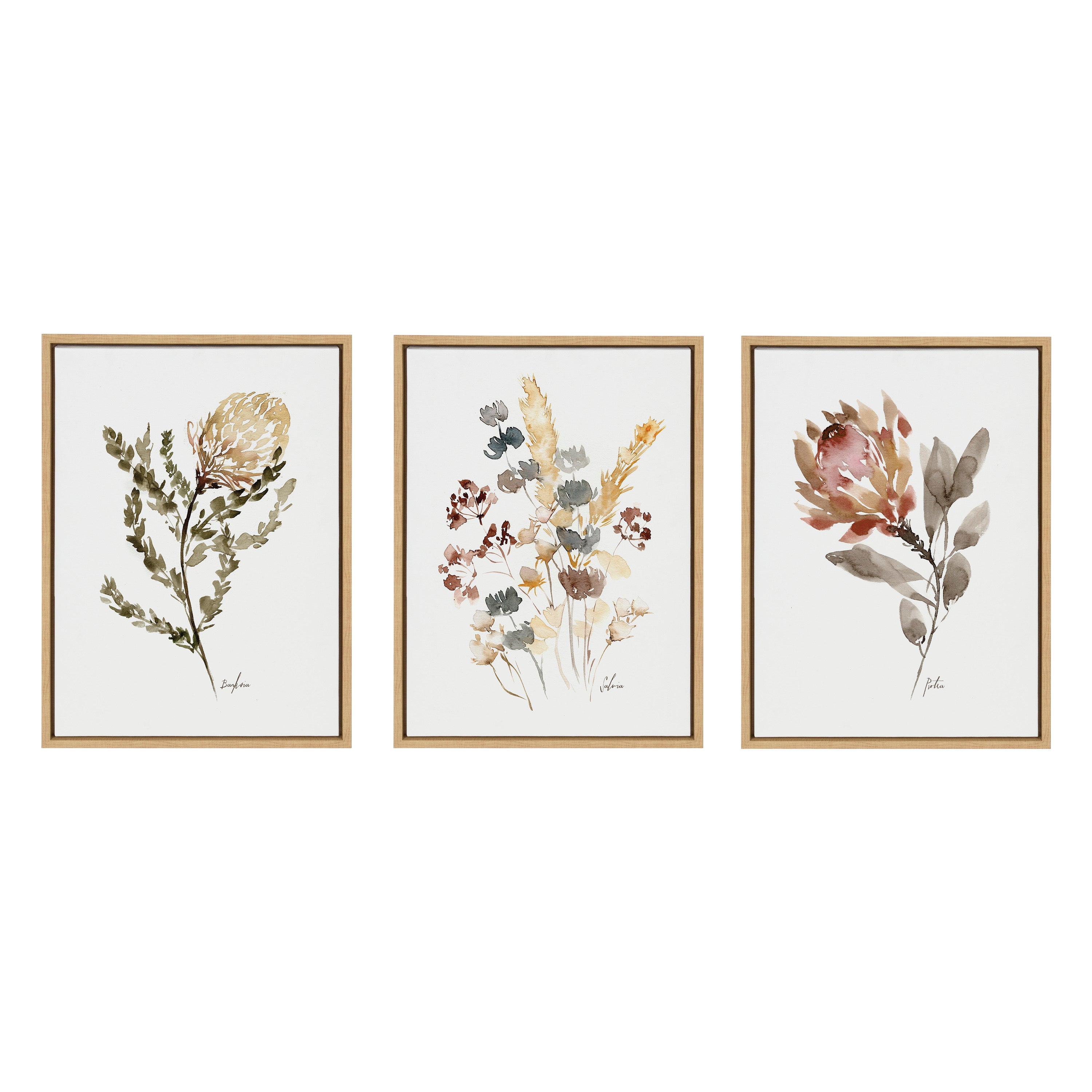 Sylvie Wild Banksia Wild Salvia and Wild King Protea Framed Canvas by Sara Berrenson
